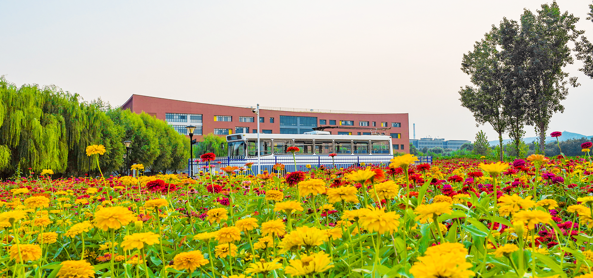 First Image Silde Picture